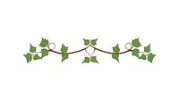 Ivy divider ornament plant leaf graphics.