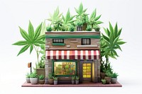 Marijuana shop plant architecture houseplant.