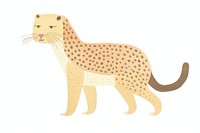 Leopard character wildlife cheetah animal.