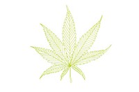 Cannabis leaf sketch plant herbs.