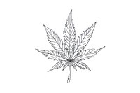 Cannabis leaf sketch drawing plant.