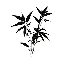 Black cannabis plant herbs leaf.