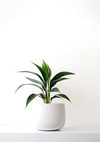 Houseplant flower leaf vase.