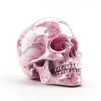 A human skull white background porcelain biology.