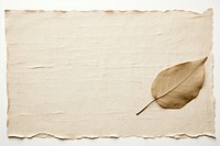 Botanical old paper texture with ripped backgrounds plant leaf.