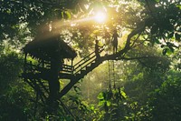 Children climbing a treehouse in a sunny forest architecture outdoors nature.