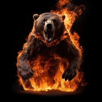 Bear full body fire flame mammal black background aggression.