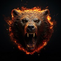 Bear head fire flame mammal black background aggression.