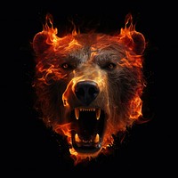 Bear head fire flame mammal black background illuminated.