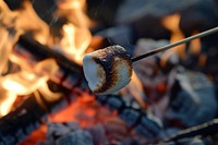 Roasting marshmallow fire campfire firewood.