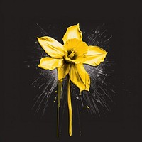 Silkscreen of daffodil flower nature petal plant.
