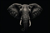 Silkscreen of elephant wildlife animal mammal.
