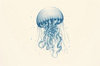 Silkscreen of jellyfish invertebrate transparent underwater.