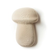 Flat Sand Sculpture a mushroom fungus white background agaricaceae.