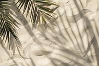 Palm leaf shadows on beige sand backgrounds outdoors nature.