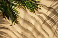 Palm leaf shadows on brown sand backgrounds outdoors nature.