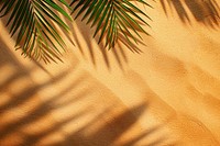 Palm leaf shadows on orange sand backgrounds outdoors nature.