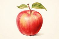 Apple painting fruit plant.