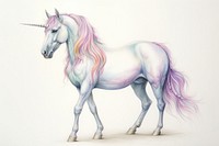 Unicorn full body drawing animal mammal.