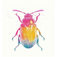 Insect Risograph style animal white background invertebrate.