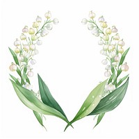 Lily of valley flowers frame plant leaf white background.