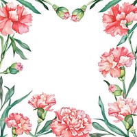 Carnation flowers border watercolor backgrounds plant rose.