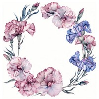 Carnation flowers border watercolor wreath plant white background.