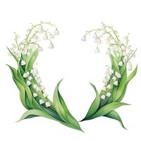 Lily of valley ribbon frame flower plant white.