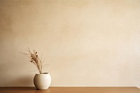 Beige wall architecture simplicity plant.