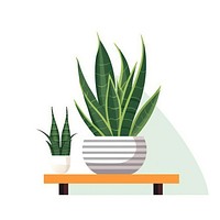 Snake plant flat vector illustration leaf vase houseplant.