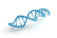 3D illustration of DNA jewelry white background accessories.