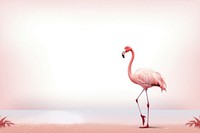 Flamingo frame pastel animal bird spoonbill.