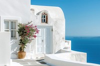 White architecture of Oia village building plant house.