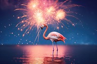 Flamingo with firework fireworks outdoors animal.