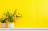 Modern yellow wall plant houseplant decoration.