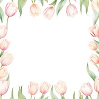 Little white tulip square border pattern backgrounds flower.