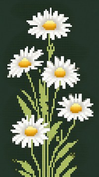 Cross stitch chamomile flower nature plant.