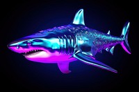 Shark animal fish illuminated.