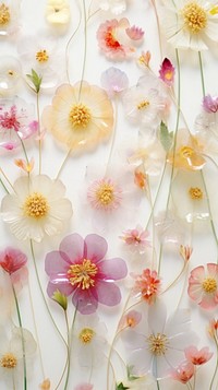 Wallflowers glass fusing art pattern backgrounds petal.
