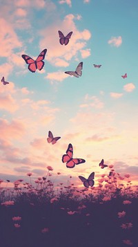 Butterflies flying through a sunset sky butterfly outdoors nature.