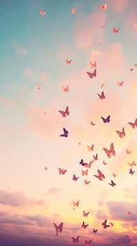 Butterflies flying through a sunset sky outdoors nature flock.