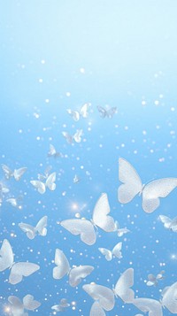 Butterflies backgrounds transparent outdoors.