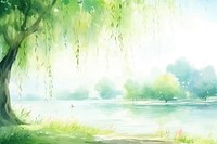 Background willow tree outdoors nature plant.