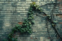 Vine brick wall architecture.