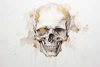 About skull watercolor background painting drawing sketch.