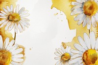 Daisy border frame backgrounds flower petal.