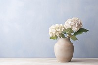Stoneware vase hydrangea flower plant.
