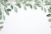 Eucalyptus leaf floral border backgrounds pattern plant.