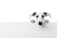 Hound greyhound peeking cartoon.