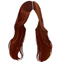 Brown long hairstlye hairstyle adult white background.